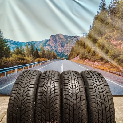 225/65r17 Continental wintercontact ts870p 102H