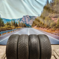 225/45r17 continental wintercontact ts870  91H