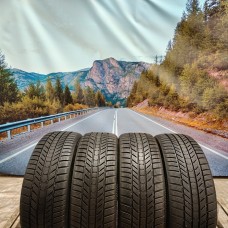 225/45r18 continental wintercontact Ts870P 95V