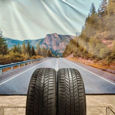 225/40r18 continental wintercontact Ts870P 92V