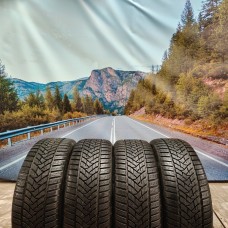 235/50r18 dunlop winter sport 5 101V