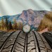 275/45r21 goodyear wrangler territory ht 110V