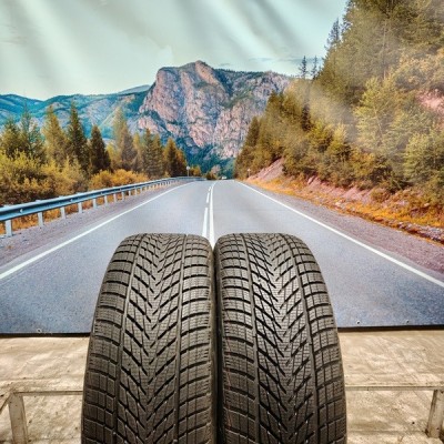 225/50r17 goodyear ultragrip performance 3 MO 98H