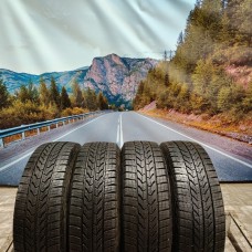 215/60r17c Goodyear ultragrip cargo 109/107T