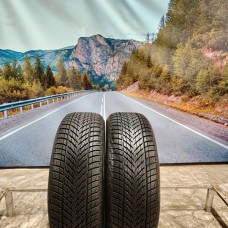 215/55r17 goodyear ultragrip performance 3 98V