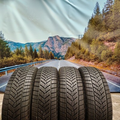 255/65r18 goodyear ultragrip performance + plus 111H