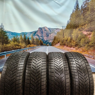 255/55r19 goodyear ultragrip performance + plus 111V