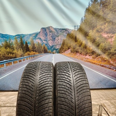255/40r21 michelin pilot alpin 5 suv 102V