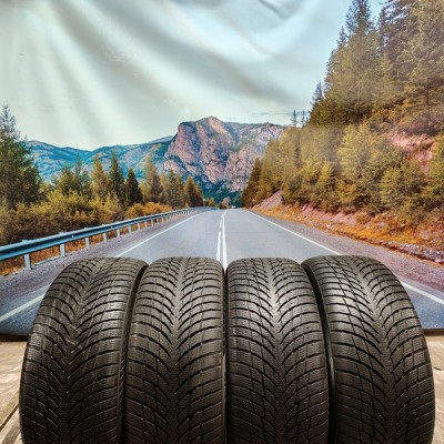 245/45r18 nokian wr snowproof p 100V
