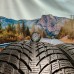 245/45r18 nokian wr snowproof p 100V