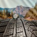 265/35r21 un 295/30r21 pirelli p zero winter T0 Pncs elect 102W