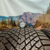 285/35r22 pirelli scorpion winter 2 elect 106V
