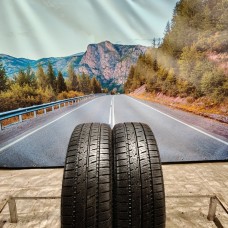 205/65r16c toyo celsius cargo 107/105T